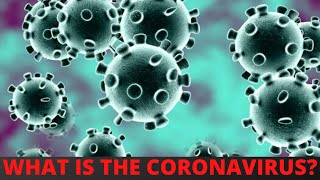 Novel Coronavirus 2019 nCoV World Health Organization WHO Explanation [upl. by Asiluj164]