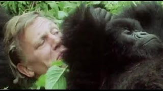 Your Favourite Sir David Attenborough Moments AttenboroughWeek  BBC Earth [upl. by Dasha]