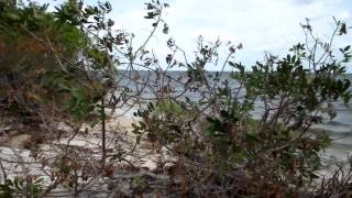 Camp Cruising our Goat Island Skiff on the Indian River Lagoon [upl. by Orofselet143]