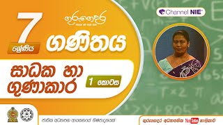 සාධක හා ගුණාකාර 01  4 පාඩම  07 ශ්‍රේණිය ගණිතය [upl. by Neleag]