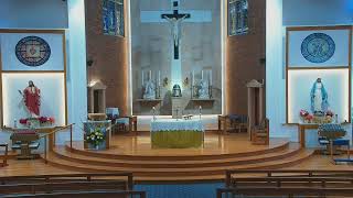 Catholic Mass for Thursday of 25th Week Ordinary Time  26 Sept 2024  8am [upl. by Sevy924]