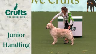 Cant get enough of them 🐶 International Junior Handling Competition Part 2  Crufts 2024 [upl. by Towne]