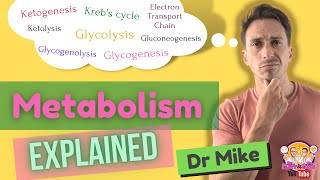 Metabolism Overview [upl. by Thant]