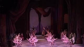 Raymonda  1 act Waltz Mariinskiy Ballet [upl. by Uphemia]