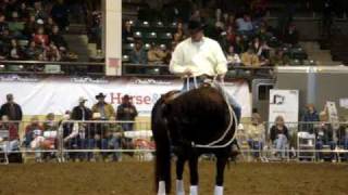 Clinton Anderson show The horses quot5 body partsquot [upl. by Evy]