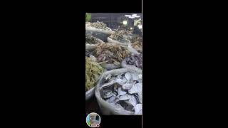 Rosalia Catud Vlog is liveMapagpalang Gabi sa lahatDried fish yummy [upl. by Hanaj]