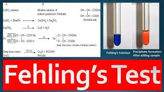 Fehlings Test Principle Procedure and Reagent Preparation [upl. by Eninaej]