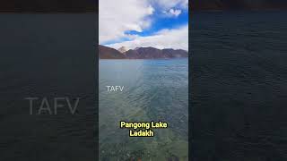 Pangong Lake  Ladakh Trip  3 idiots Movie Shooting Place shorts feedshorts ytshorts [upl. by Sinegra]