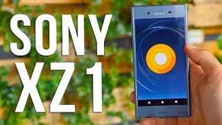 Sony Xperia XZ1 Review  First Android 8 Smartphone 2017 [upl. by Drapehs]