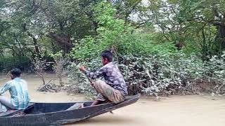 swamp forest ratargulswampforest sylhet shortsvideo viralvideo [upl. by Pinelli]