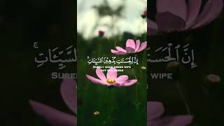 And establish prayer at both ends of the day from Surat Hud Muhammad Siddiq AlMinshawi quran [upl. by Ausoj]