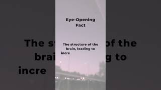 Mindful Transformations How Meditation Reshapes Your Brain with Increased Gray Matter factshorts [upl. by Celtic]