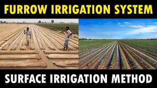 Furrow Irrigation System  Surface Irrigation System  Agriculture Irrigation Method [upl. by Larrad]