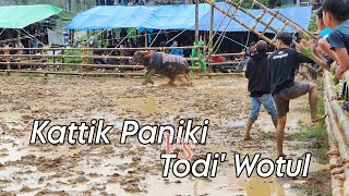 KATTIK PANIKI VS TODI WOTUL DI ARENA KOTEKA BALPAS [upl. by Mariette]