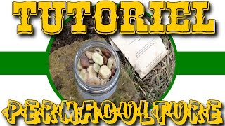 🌿  Tutoriel Permaculture   Semer les fèves en février climat montagnardSemiContinental 🌿 [upl. by Noelle629]