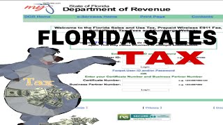 How To File Florida Sales Tax [upl. by Inoj]