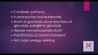 Pentose Phosphate PathwayPhosphogluconate PathwayHexose Monophosphate Shunt [upl. by Kristoffer491]