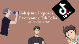 Ushijima Exposes Everyones TikToks  Pt1 [upl. by Hailahk]