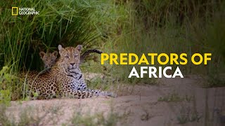 The Wild Heart of Africa  Africas Deadly Kingdom  हिंदी  Full Episode  S1  E6  Nat Geo Wild [upl. by Ahse]