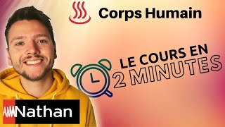 BILAN THERMIQUE DU CORPS HUMAIN  1ere Enseignement Scientifique [upl. by Ihn]