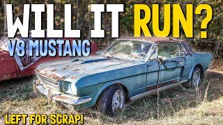 JUNKYARD 1966 V8 Mustang  Will It Run And Drive After Decades [upl. by Sivi]