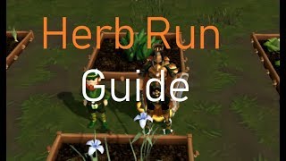 Runescape 3 Complete Guide for Herb Run  Mushroom Patches [upl. by Kreiker]