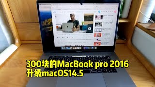 300块的MacBook Pro 2016升级macOS145 [upl. by Fugere]