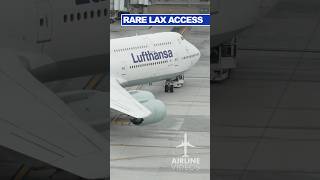 RARE LAX Access [upl. by Adle]