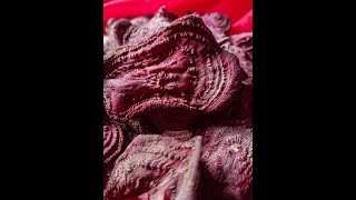 Dehydrated Beet Chips [upl. by Ecnerret]