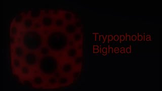 Find The Bigheads Trypophobia Bighead Roblox [upl. by Scriven]