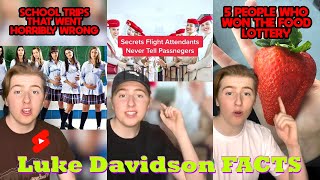 Best Luke Davidson FACTS  Luke Davidson Shorts 2024 [upl. by Renae]