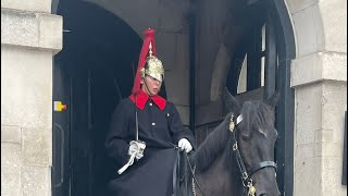 A Splendid Royal Horse Like No Otherquot London LiveCamera [upl. by Kciregor584]