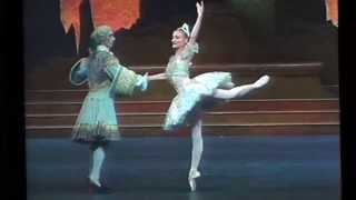 Ruta Jezerskyte quotThe Sleeping Beautyquot P Tchaikovsky I actDutch National Ballet [upl. by Bearnard92]