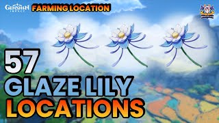 Semua Lokasi Glaze Lily  Liyue  Rute Farming  【Genshin Impact 】 [upl. by Ahsikrats]