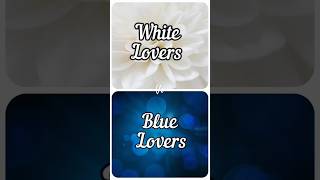 White Lover VS Blue Lover bluebutterfly shorts youtube [upl. by Nizam589]