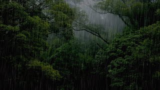 Rain Sounds For Sleeping  99 Instantly Fall Asleep With Rain And Thunder Sound At Night [upl. by Fulbert702]