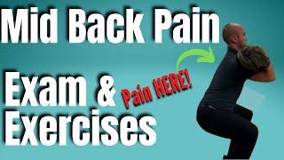 Thoracic Spine Pain Exercise Progressions  San Diego Sports Chiropractic [upl. by Duntson]