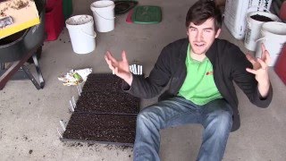 5 EASY Methods to Prevent Mold When Seed Starting [upl. by Gavrila]