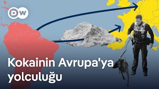 Avrupa nasıl kokain ticaretinin merkezi haline geldi [upl. by Caravette]