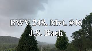 BWV 248 Mvt 46  JS Bach [upl. by Arraek]