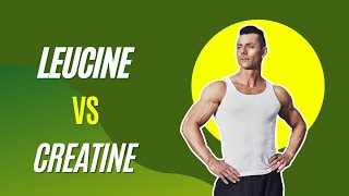 Leucine Vs Creatine Which is Better [upl. by Bland731]