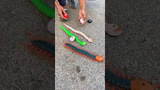 Remote control snake and Centipede scolopendra Unboxing rc unboxing shorts snake ￼ [upl. by Edgell511]