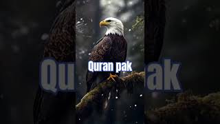 or kafir kahene lage quran ko suna hi na karo allahuakbar islamicprayer history rehemdili5317 [upl. by Klayman]