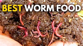 What to Feed Worms Vermicompost Made EASY [upl. by Morvin]