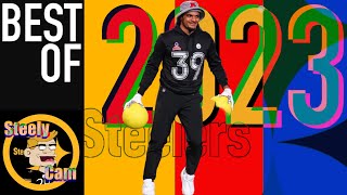 Minkah Fitzpatrick Best of 2023 [upl. by Nereus78]