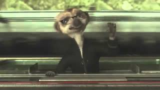 Compare the Meerkat  Advert 34 [upl. by Purdum742]