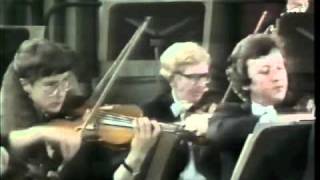 Maurice Hasson Paganini Violin Concerto No1  1st movement part 1 of 2 [upl. by Rocray]