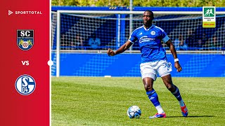 Elfmeterdrama und erster Saisonsieg  SC Wiedenbrück vs FC Schalke 04 U23  Regionalliga West [upl. by Philoo72]