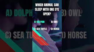 KnowTheFactAnimals animals quiz facts knowledge english basicenglishquiz testyourknowledge [upl. by Yrok]