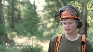 Vergölst fördert Pflege von 40000 Quadratmetern Wald in der Lüneburger Heide [upl. by Laspisa263]